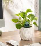 PLANTIO | Sensor Interactivo Para Tus Plantas