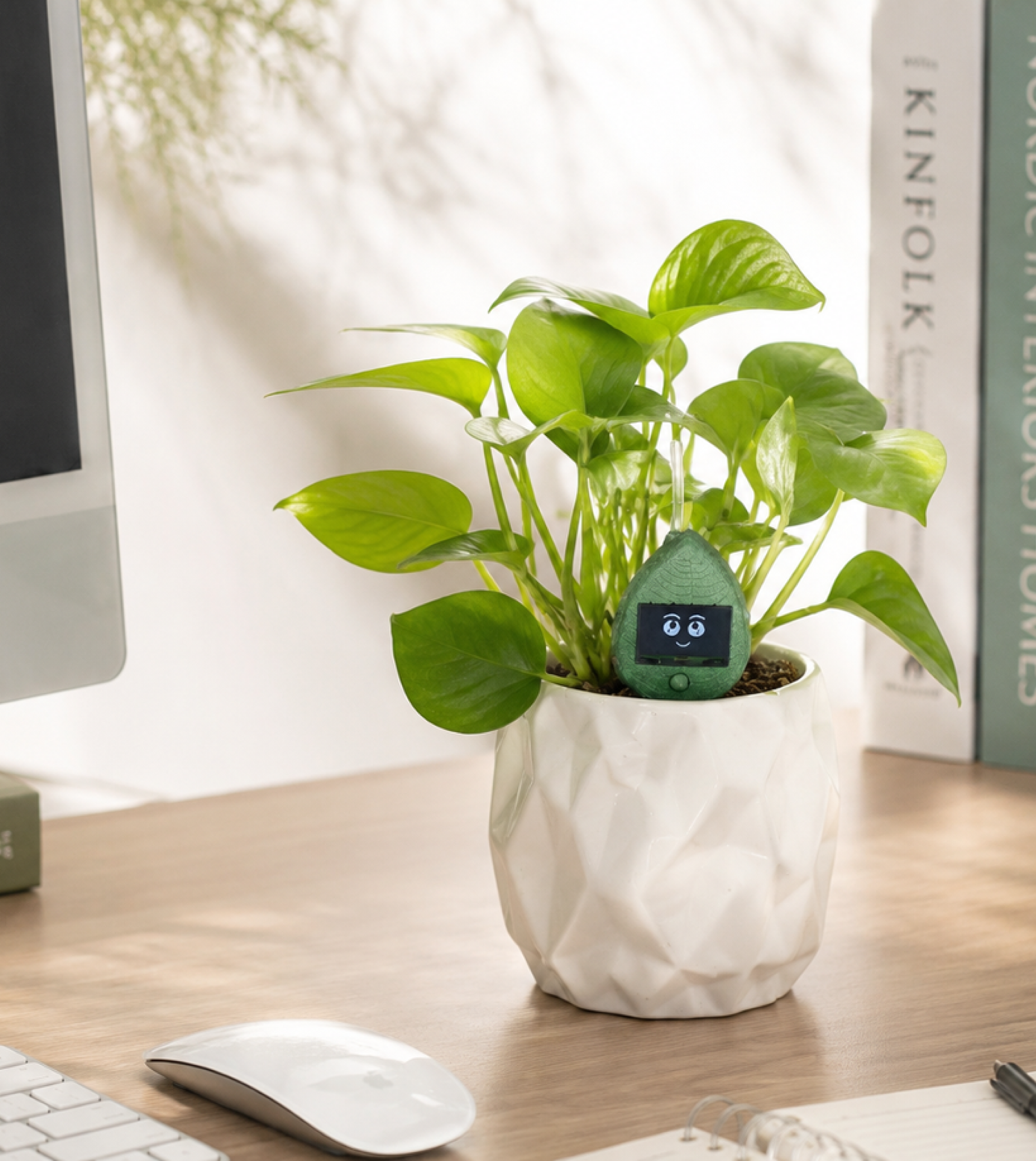 PLANTIO | Sensor Interactivo Para Tus Plantas